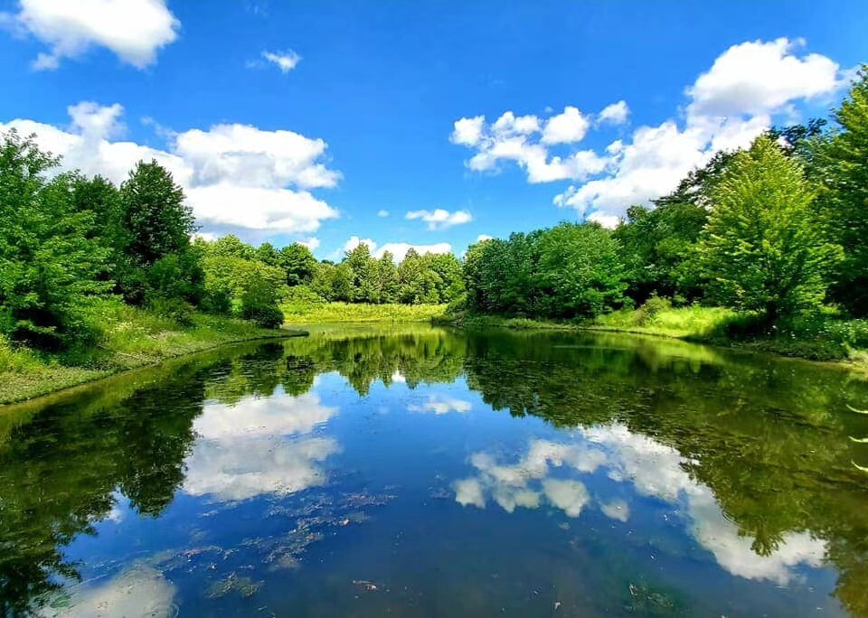 回溫期養(yǎng)蝦如何治弧菌？