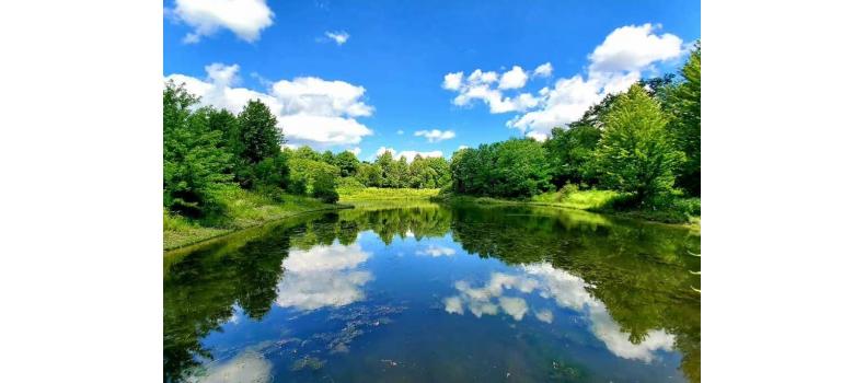 回溫期養(yǎng)蝦如何治弧菌？