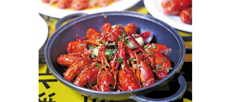 六月小龍蝦養(yǎng)殖關(guān)鍵點(diǎn)